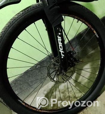 Phoenix Bicycle For Sale