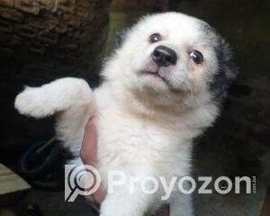 fitted-38_2025-10-21_10-05-14