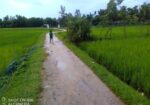 বিস্কুট কোম্পানির পিছনে সুন্দর জায়গা