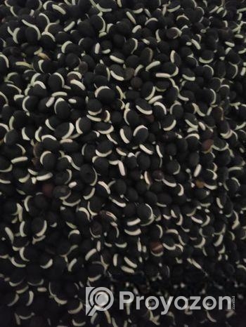 সিমের বীজ