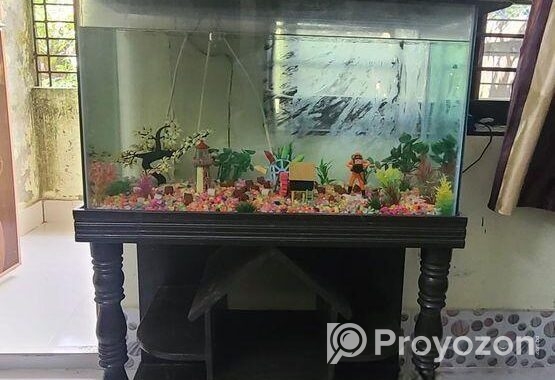 Aquraiaum For Sell