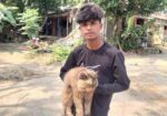 Cat sale
