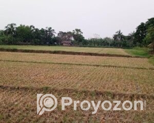 fitted-39_2025-10-22_18-30-13