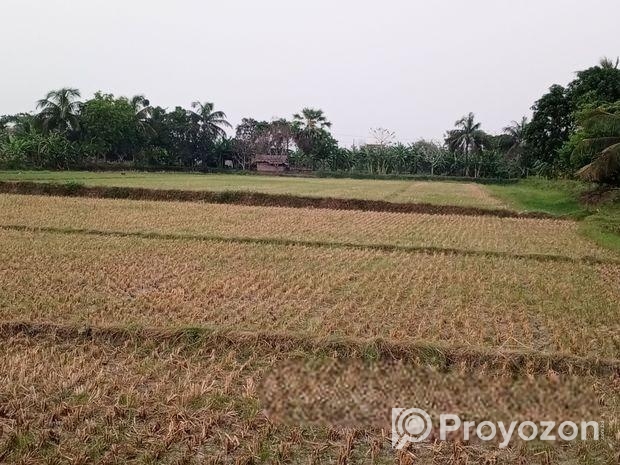 জমি বিক্রি করা হবে