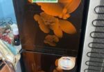 New Condition Fridge For Sell