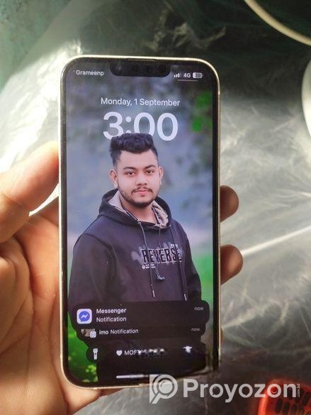 Apple iPhone 13 (Used)