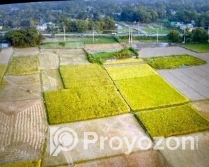 fitted-3_2025-10-26_18-00-25