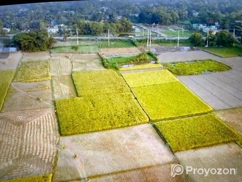 ১০ বিঘা ইন্ডাস্ট্রিয়াল জমি বিক্রয় – মাধবপুর, হবিগঞ্জ