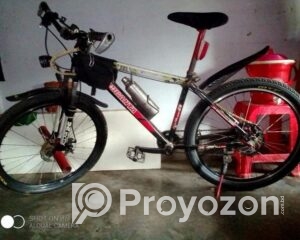 fitted-3_2025-10-29_09-36-48