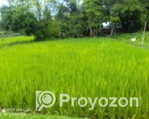 fitted-40_2025-10-06_22-42-33