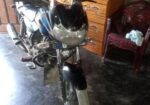 Bajaj Discover 100 . 2011