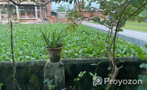 রাস্তা পাশেই দক্ষিনমূখী আবাসিক এলাকায় জমি বিক্রয় হবে।