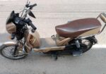 TVS XL 100 2021