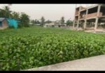 রাস্তা পাশেই দক্ষিনমূখী আবাসিক এলাকায় জমি বিক্রয় হবে।