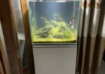 Aquarium With Stand