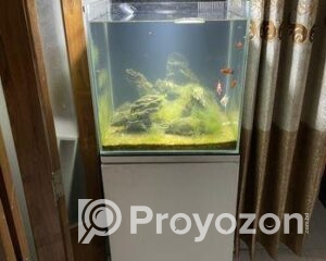 fitted-41_2025-10-26_19-22-26