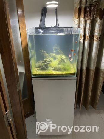 Aquarium With Stand