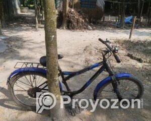 fitted-41_2025-10-27_22-36-25