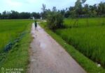 বিস্কুট কোম্পানির পিছনে সুন্দর জায়গা