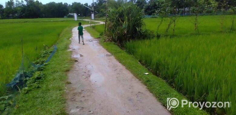 বিস্কুট কোম্পানির পিছনে সুন্দর জায়গা
