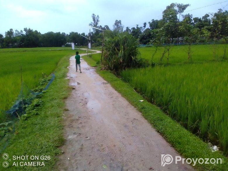 বিস্কুট কোম্পানির পিছনে সুন্দর জায়গা