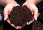 ভার্মিকম্পোস্ট / জৈব সার