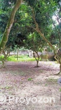 জমি বিক্রয় বিজ্ঞপ্তি