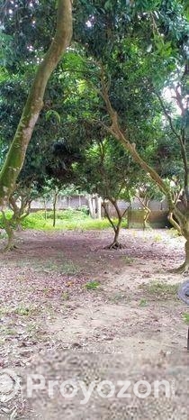 জমি বিক্রয় বিজ্ঞপ্তি