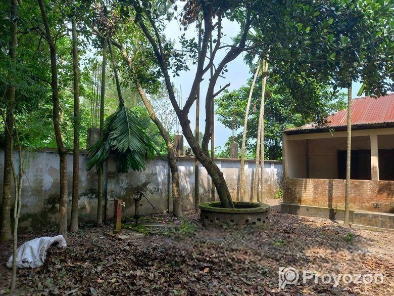 বাড়ি বিক্রিয়