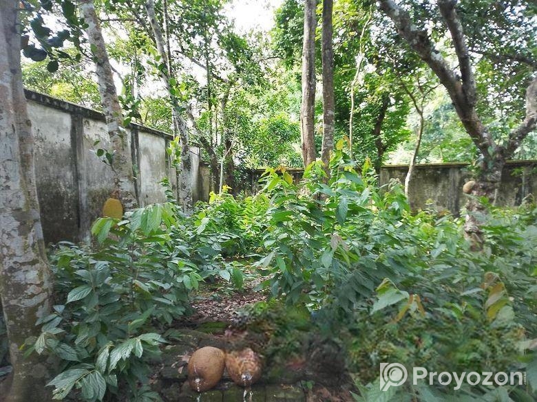 ১৯.১৬ শতক বাউন্ডারি করা জায়গা বিক্রি