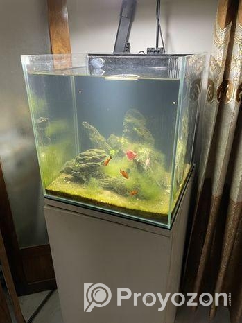 Aquarium With Stand