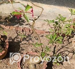 fitted-42_2025-10-29_17-29-43