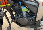 Suzuki Gixxer Monotone . 2023