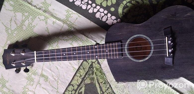 Gitar SELL Hobe