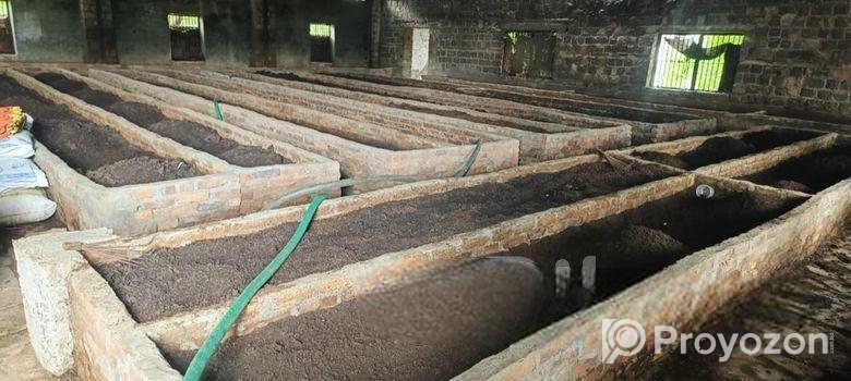 ভার্মিকম্পোস্ট / জৈব সার