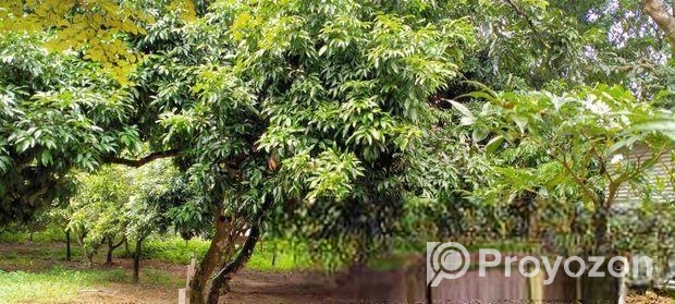 জমি বিক্রয় বিজ্ঞপ্তি