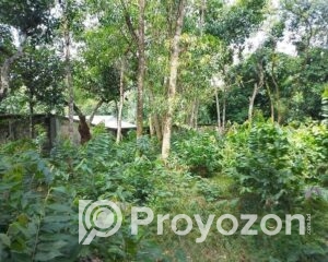 fitted-43_2025-10-23_10-55-27