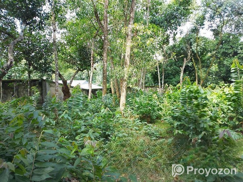 ১৯.১৬ শতক বাউন্ডারি করা জায়গা বিক্রি