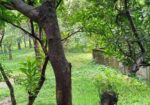 গাজীপুরে নিষ্কণ্টক ১২ বিঘা জমি বিক্রয় হবে