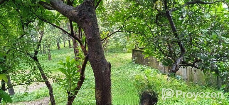 গাজীপুরে নিষ্কণ্টক ১২ বিঘা জমি বিক্রয় হবে