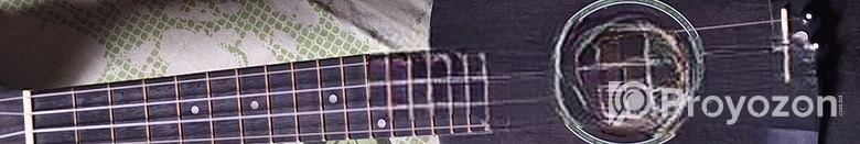 Gitar SELL Hobe