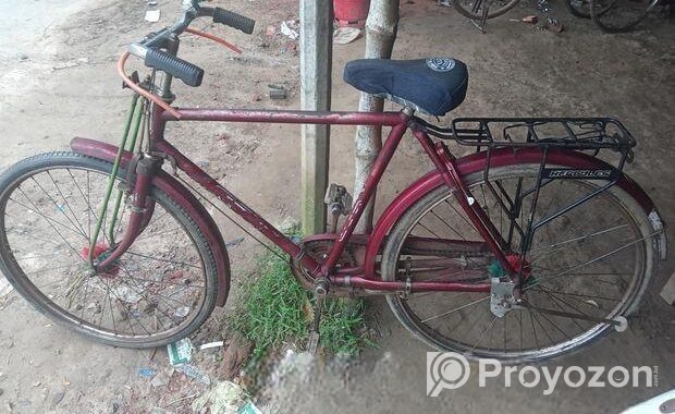 Bicycle for Sale
