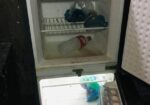 Walton Refrigerator