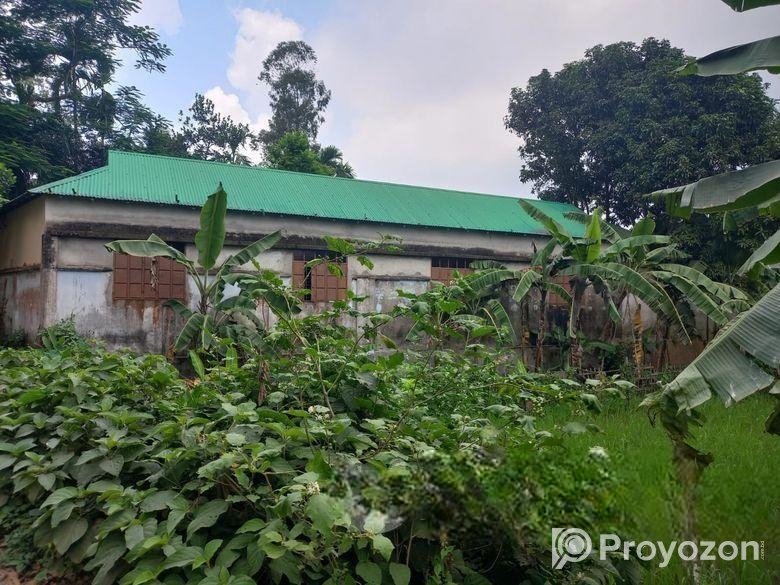 বাড়ি বিক্রিয়