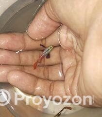 fitted-44_2025-10-25_10-44-25