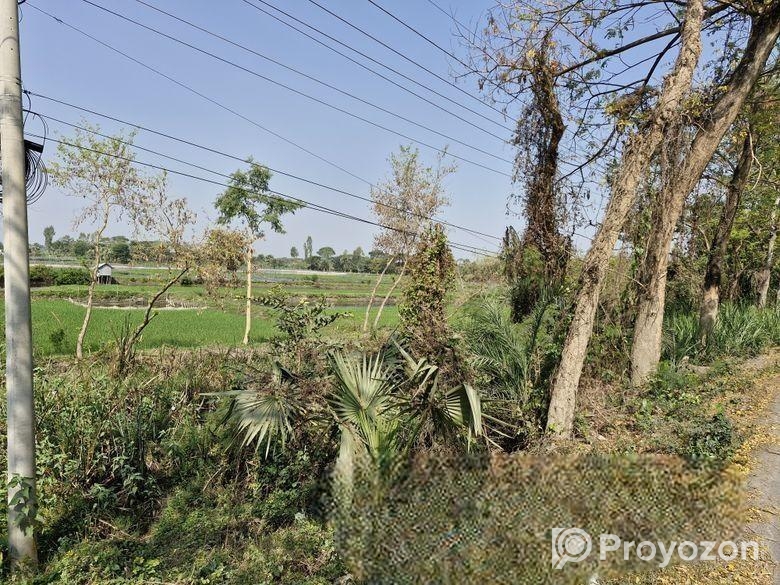 জমি বিক্রয় ৩ বিঘা | বিশ্বরোড টাচ লোকেশন মোল্লারহাট, মাদ্রাসাঘাট