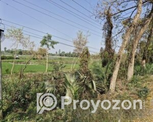 fitted-44_2025-10-26_10-36-01