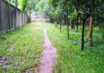 গাজীপুরে নিষ্কণ্টক ১২ বিঘা জমি বিক্রয় হবে