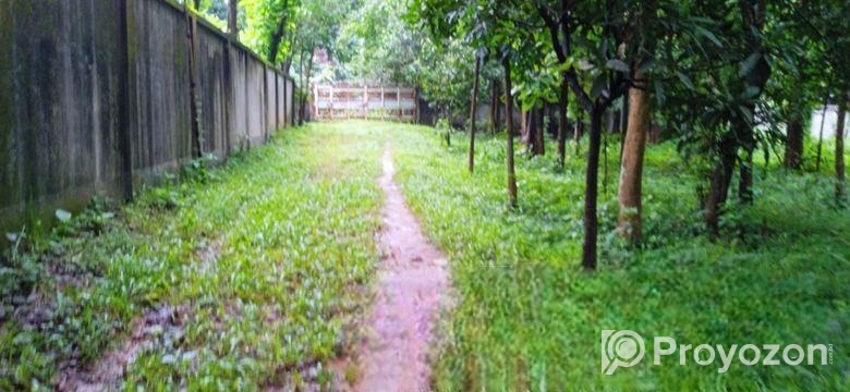 গাজীপুরে নিষ্কণ্টক ১২ বিঘা জমি বিক্রয় হবে