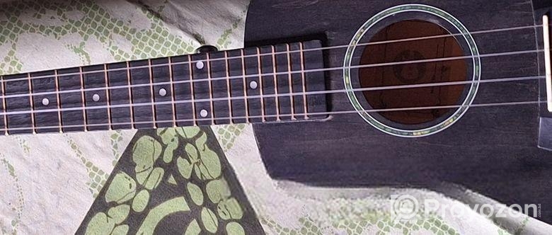 Gitar SELL Hobe